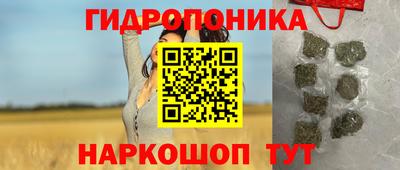 скорость Рязань