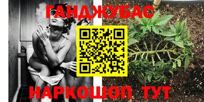скорость Рязань
