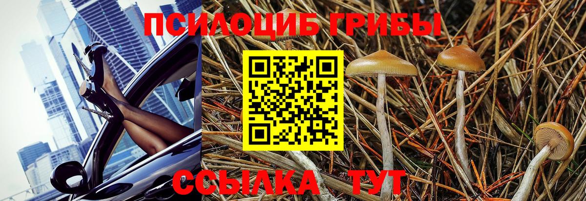 Галлюциногенные грибы Psilocybe  купить наркоту  Вход с VPN  Славгород  Галлюциногенные грибы Psilocybine cubensis 