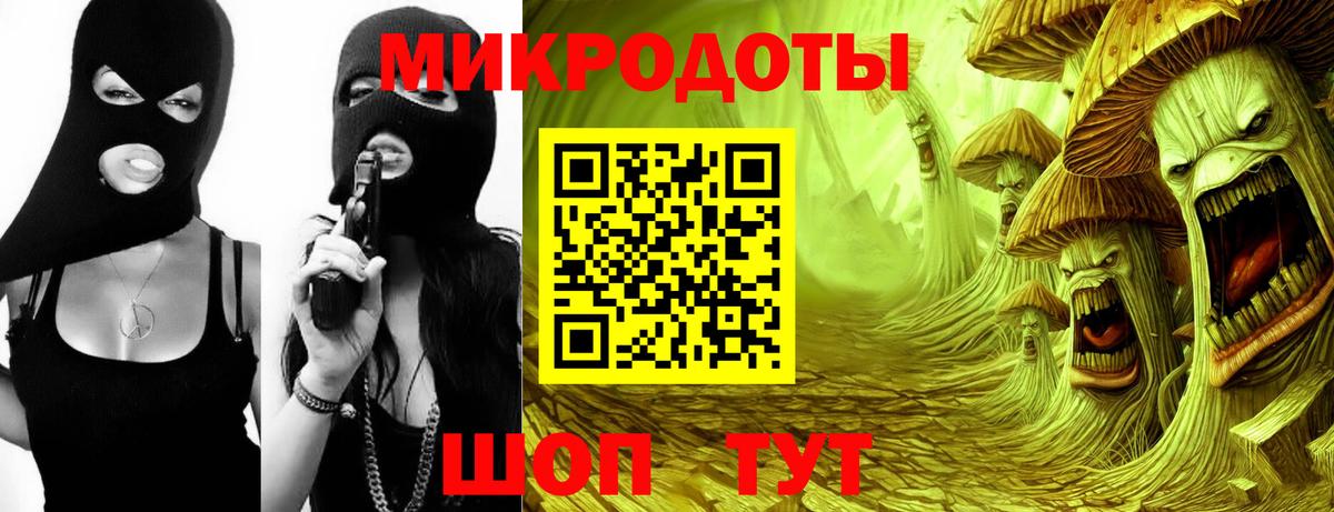 Галлюциногенные грибы Psilocybine cubensis Славгород